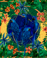 Max Pañuelo Brasil Tropical- Mousseline de Seda/ 130x130 - Scarfme | Bufandas, Pañuelos, Chales, Turbantes